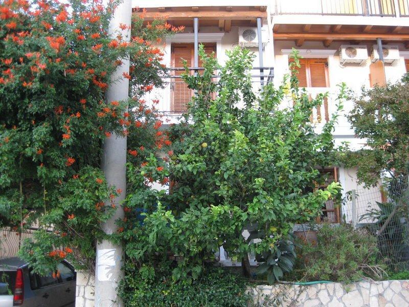 Valasis Studios Argassi Dış mekan fotoğraf